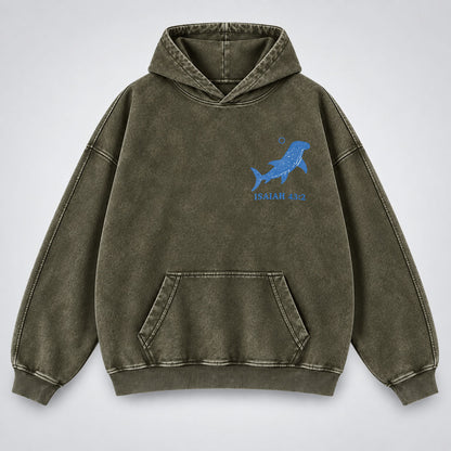 When You Go Through Deep Waters Washed Hoodie