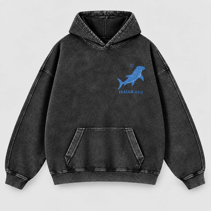 When You Go Through Deep Waters Washed Hoodie