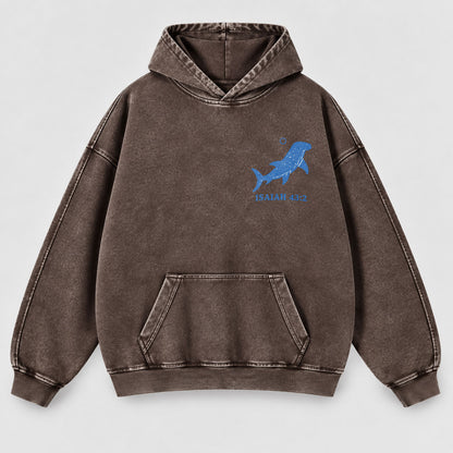 When You Go Through Deep Waters Washed Hoodie