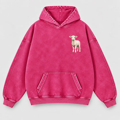 Led By Grace Washed Hoodie –  Wildflower Christian Hoodie